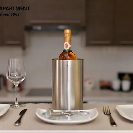 Kodaly アパート ブダペスト